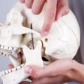 Understanding TMJ Disorder and Its Causes